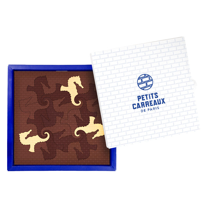 packaging coffret cadeau, coffret dégustation chocolats, chocolats hippocampe, chocolat artisanal, chocolat made in france, petits carreaux de paris