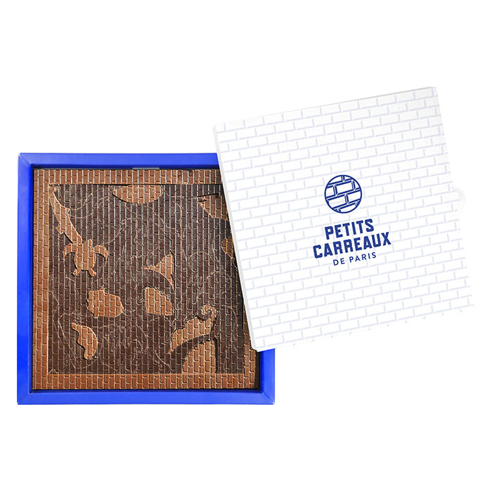 coffret mosaïque de la mer, animaux de la mer, poisson chocolat, animaux chocolat, animal en chocolat, poisson en chocolat, friture de la mer, chocolat noir, chocolat au lait, chocolat artisanal, chocolat made in france, petits carreaux de paris