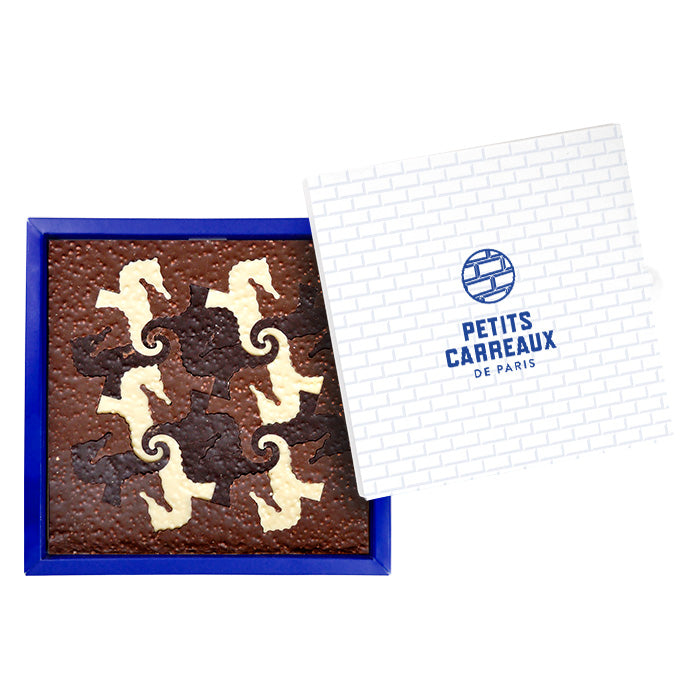 packaging coffret cadeau, coffret dégustation chocolats, chocolats hippocampe, riz soufflé, chocolat artisanal, chocolat made in france, petits carreaux de paris